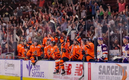 More Info for Greenville Swamp Rabbits