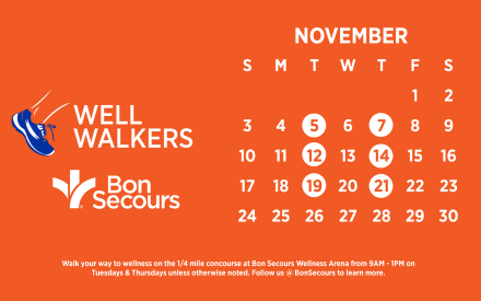 More Info for Well Walkers - November