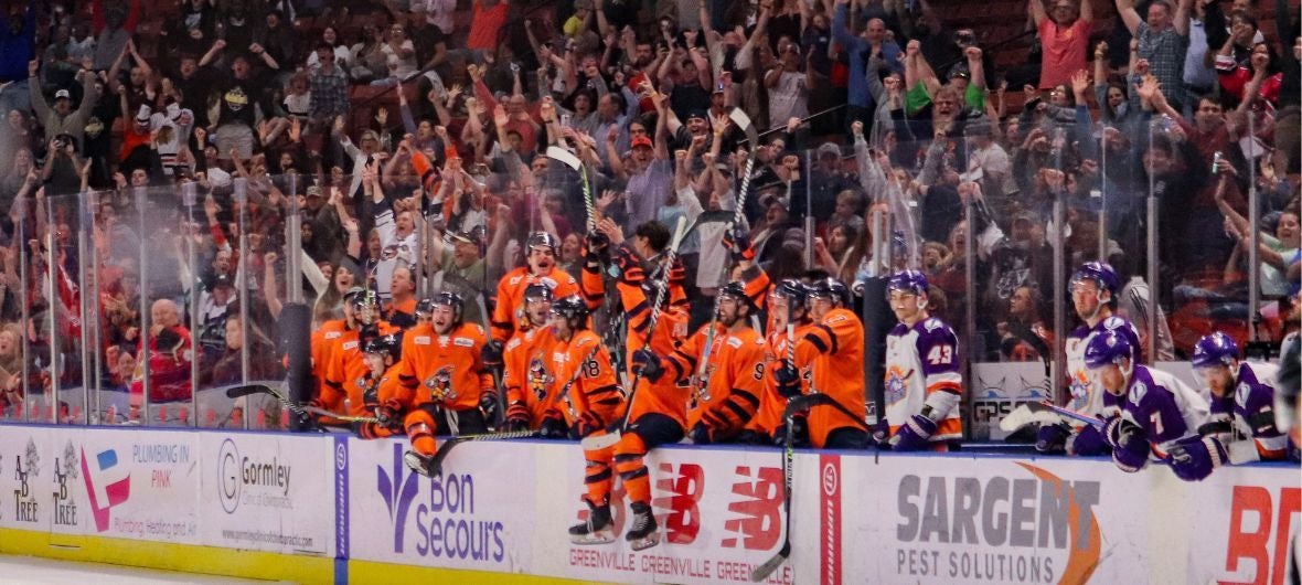 More Info for Greenville Swamp Rabbits